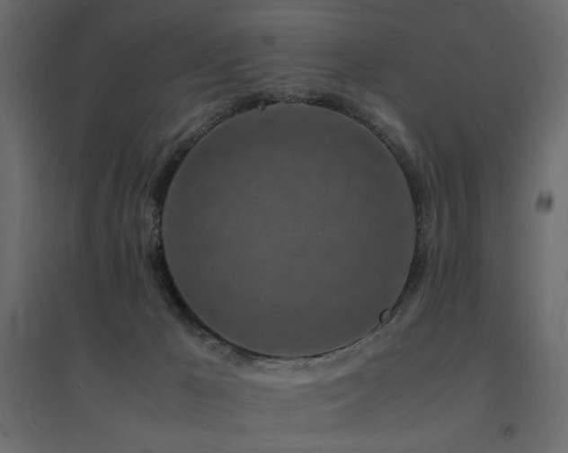 X0000094910029200711291306