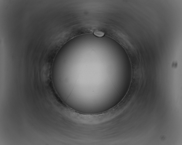 X0000094910030200711291306