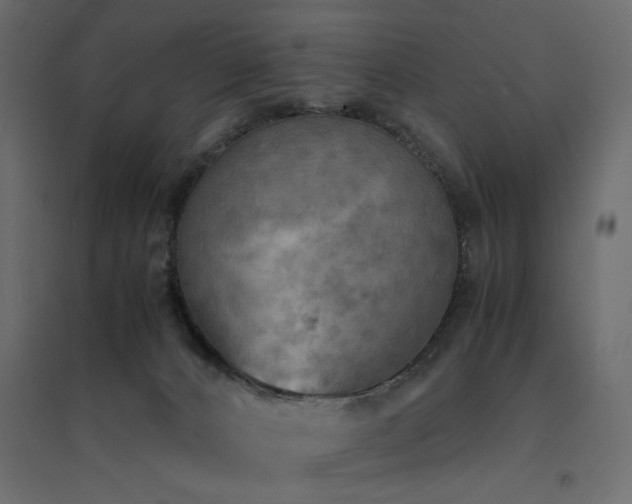 X0000094910032200711291306