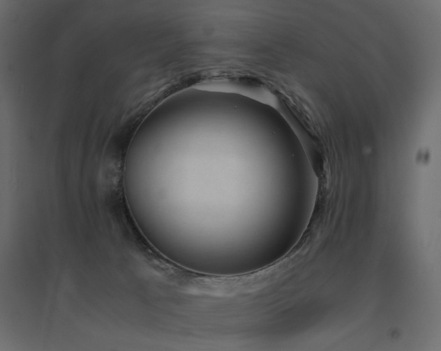 X0000094910033200711291306