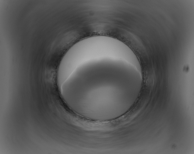 X0000094910036200711291306