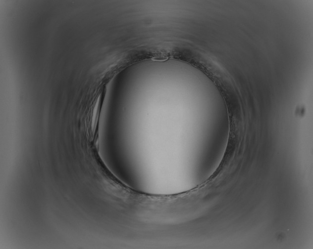 X0000094910037200711291306