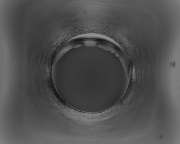 X0000094910039200711291306