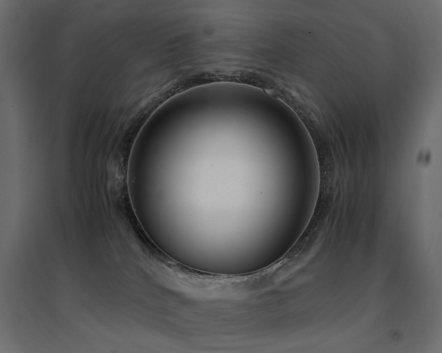 X0000094910040200711291306