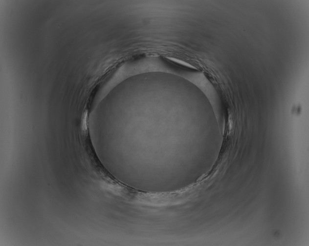 X0000094910041200711291306