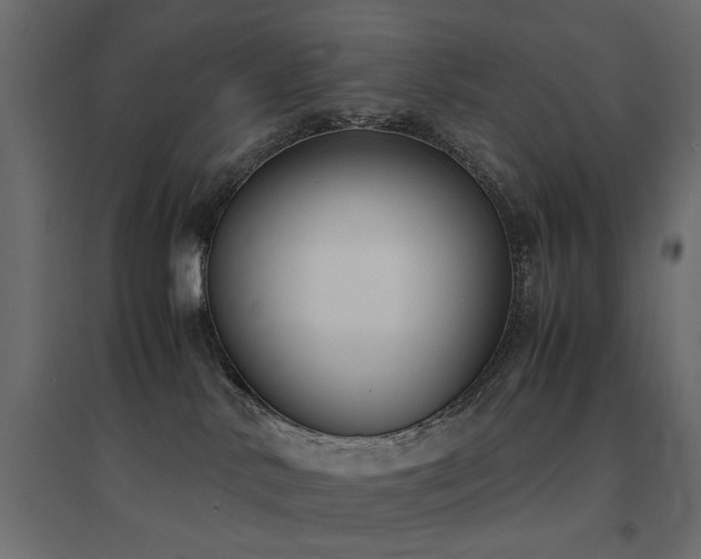 X0000094910042200711291306