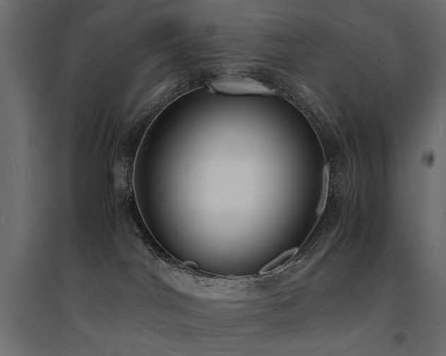 X0000094910044200711291306