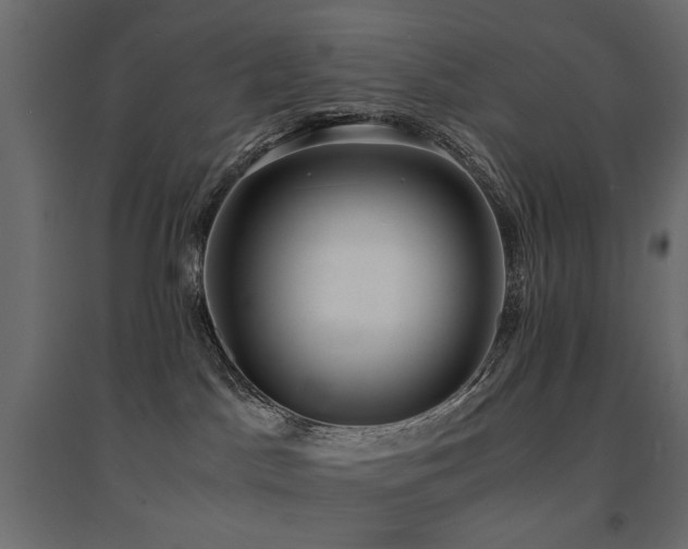 X0000094910045200711291306