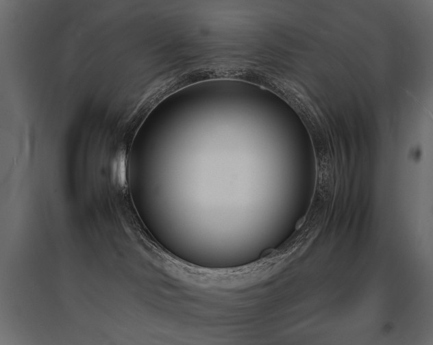 X0000094910046200711291306