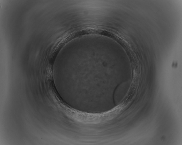 X0000094910048200711291306