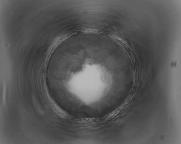 X0000094910049200711291305