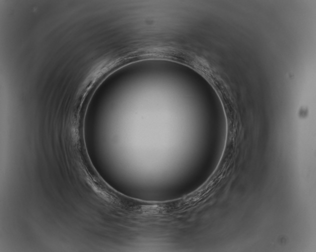 X0000094910050200711291305