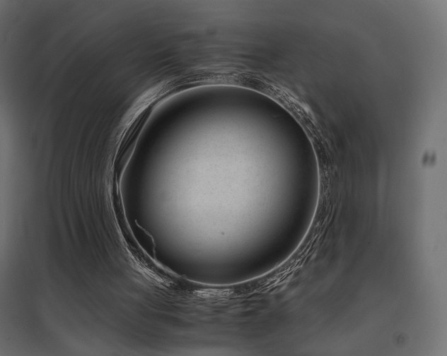 X0000094910051200711291305