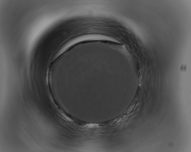 X0000094910052200711291305