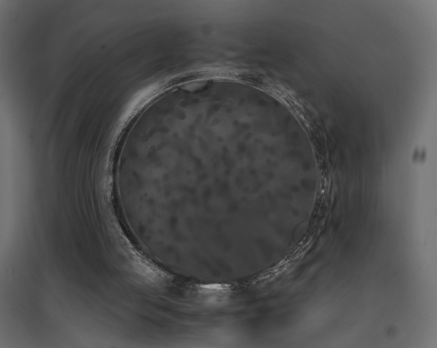 X0000094910053200711291305