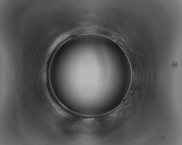 X0000094910054200711291305