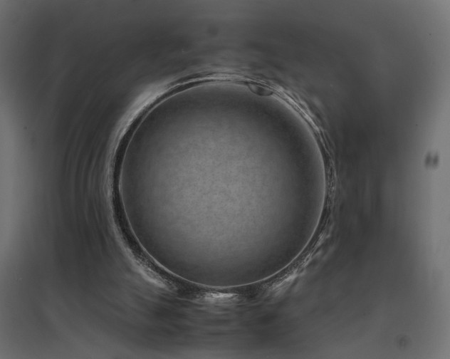 X0000094910055200711291305