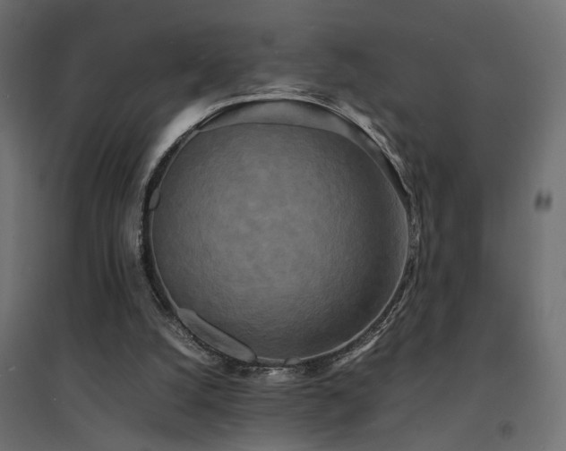 X0000094910056200711291305