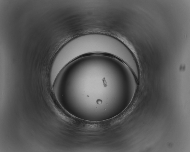 X0000094910057200711291305