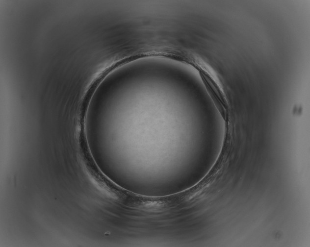 X0000094910059200711291305