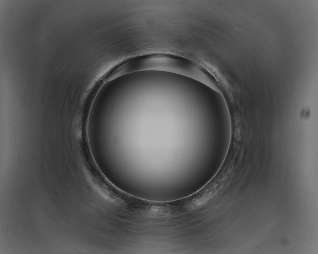 X0000094910060200711291305
