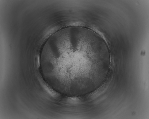 X0000094910061200711291305