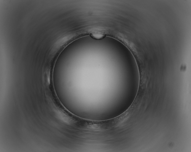 X0000094910062200711291305