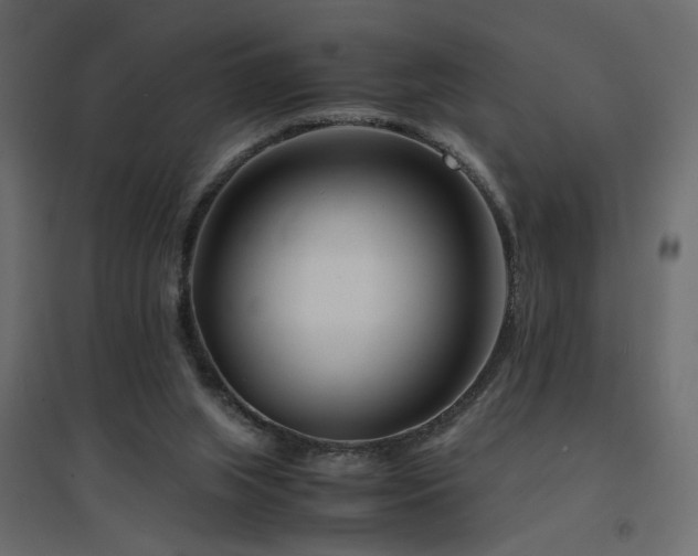 X0000094910063200711291305