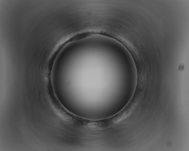 X0000094910064200711291305