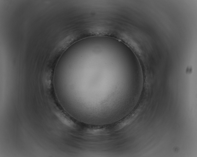 X0000094910065200711291305