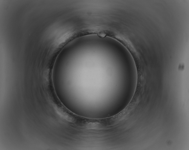 X0000094910066200711291305