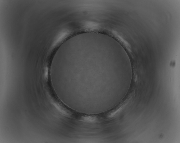 X0000094910067200711291305