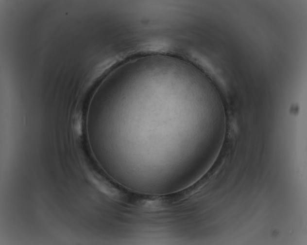 X0000094910068200711291305