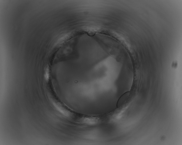 X0000094910069200711291305