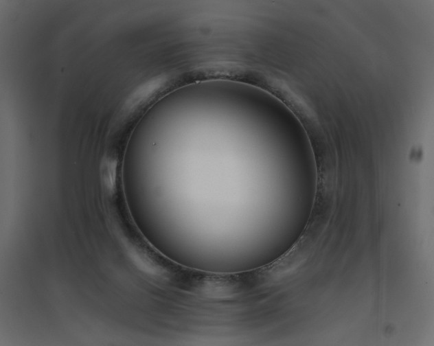X0000094910070200711291305