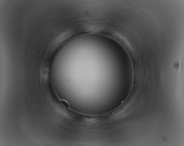 X0000094910071200711291305