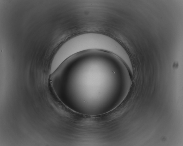X0000094910072200711291305