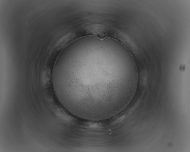 X0000094910073200711291305