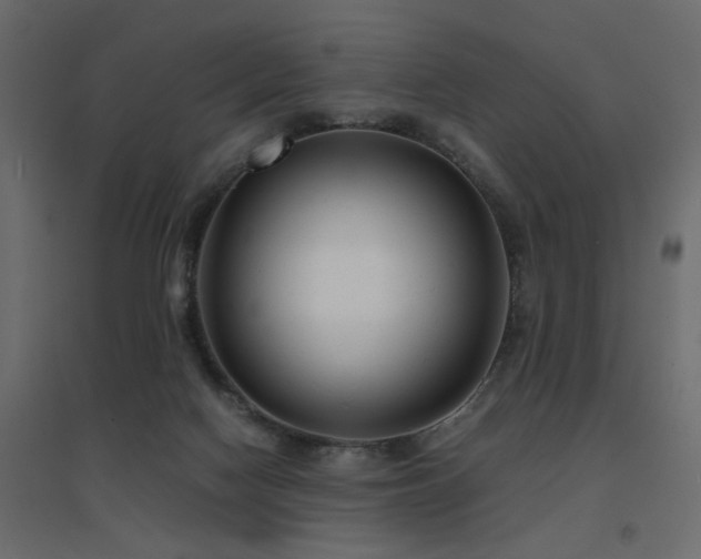 X0000094910074200711291305