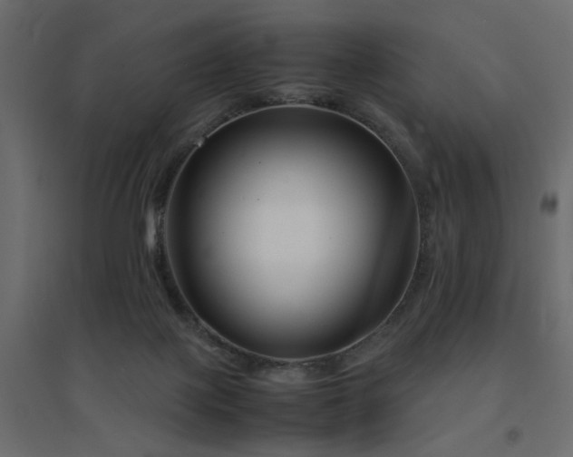 X0000094910075200711291305