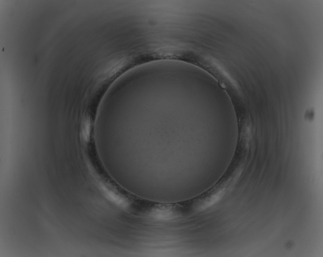 X0000094910076200711291305