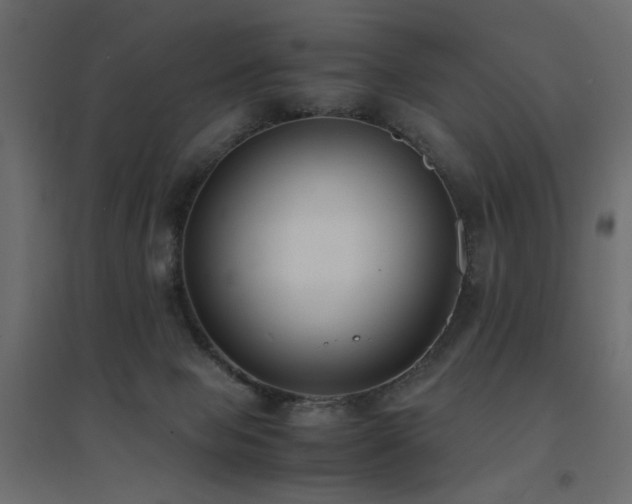 X0000094910077200711291305