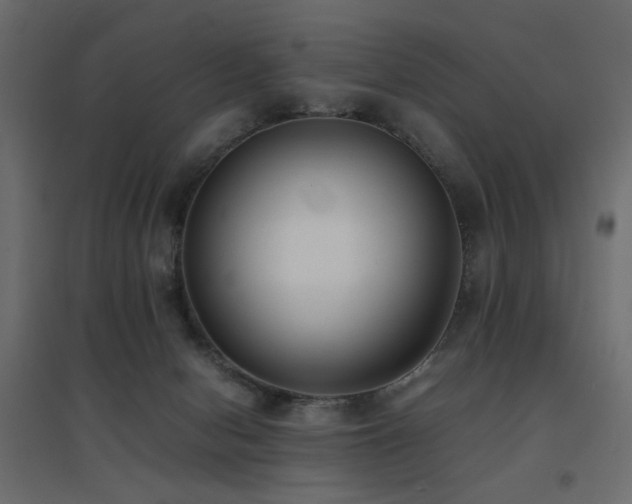 X0000094910078200711291305