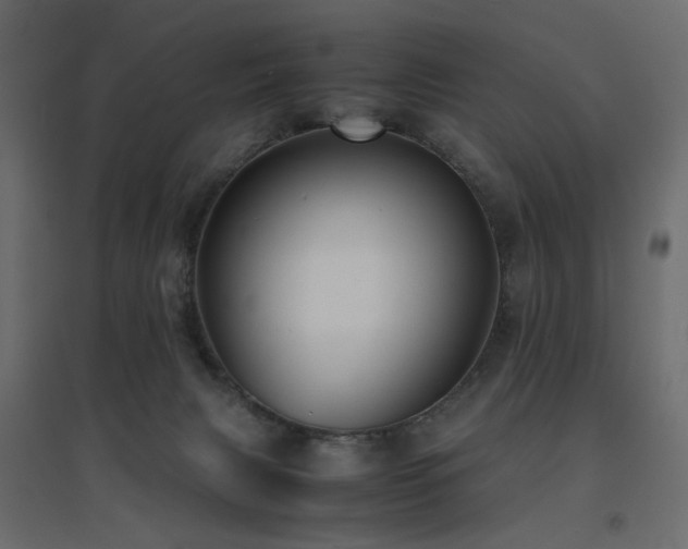 X0000094910079200711291305