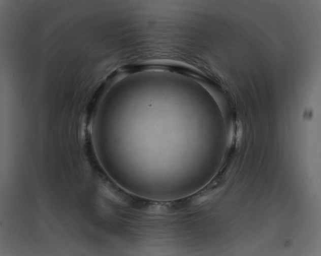 X0000094910080200711291305