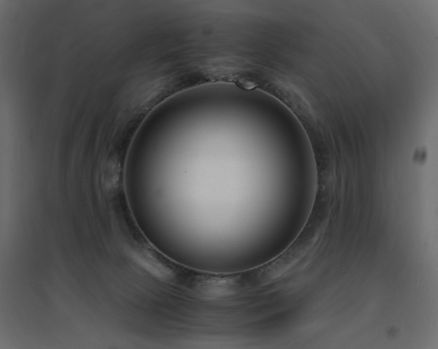 X0000094910081200711291305