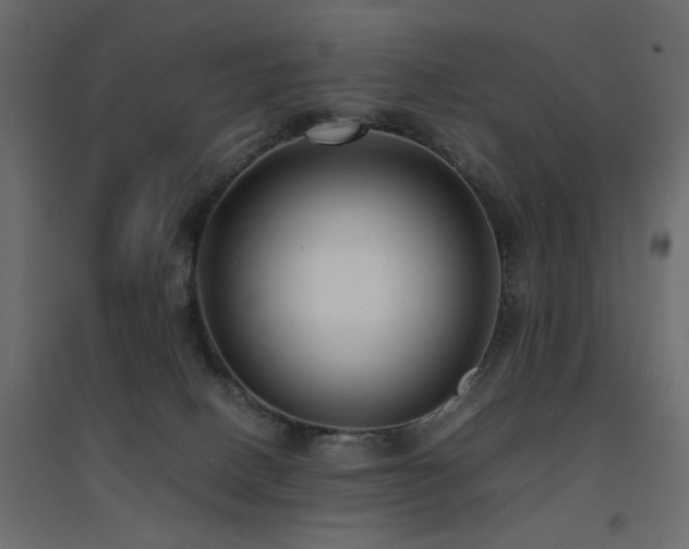 X0000094910082200711291305