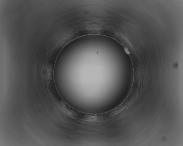 X0000094910083200711291305