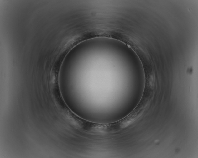 X0000094910084200711291305