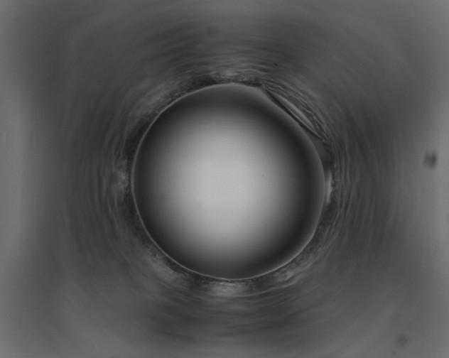 X0000094910085200711291305